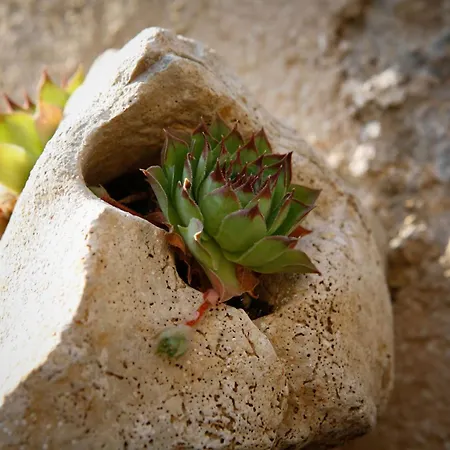 Stein House Marasovic