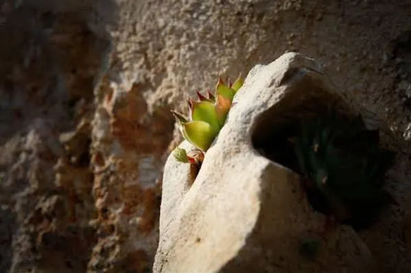 Stein House Marasovic